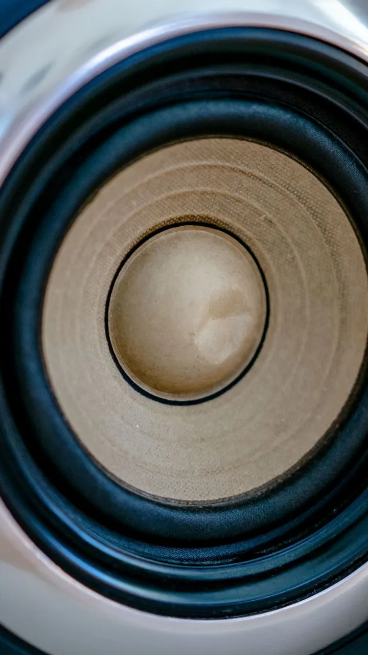 Macro of a loudspeaker cone and its concentric surround